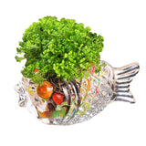 Maxbell Flowerpot Decoration Drinking Cups Glassware for Cold Drinks Home Juices Medium