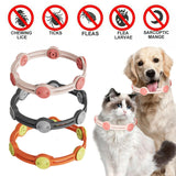 Maxbell Flea and Tick Collar for Cats and Puppies Extendable Adjustable Orange