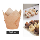 Maxbell 200 Pieces Dessert Cups Larger Caliber for Restaurants supplies Yellow