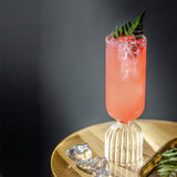 Maxbell Cocktail Glass Glassware Elegant Drinking Glasses for Juice Hotel Party