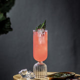 Maxbell Cocktail Glass Glassware Elegant Drinking Glasses for Juice Hotel Party