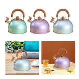 Maxbell 3L Whistle tea Kettle for Stove Top for Boiling water Source Green