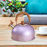 Maxbell 3L Whistle tea Kettle for Stove Top for Boiling water Source Purple