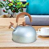 Maxbell 3L Whistle tea Kettle for Stove Top for Boiling water Source Blue