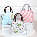 Maxbell Thermal Food Picnic Lunch Bags Soft Liner Reusable for Travel Fishing Ladies