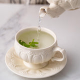 Maxbell Tea Cup and Saucer Set Tea Cup Water Tea Cups for Breakfast Milk Latte Cream coloured