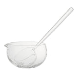Maxbell Glass Matcha Bowl Spoon with Pouring Spout Japanese Style Gift for Office