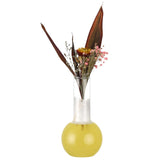 Maxbell cocktail Glass 435ml bar Banquet party