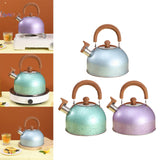 Maxbell 2L Whistling Kettle Cookware Anti Heat Handle Teapot for Induction Cookers Blue