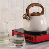 Maxbell Loud Whistle Tea Kettle for Stovetop Whistle Water Kettle for Boiling Water