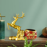 Maxbell Bottle Holder Rack Display Stand Free Standing for Decoration Aureate