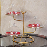 Maxbell Cupcake Stand Display Stand Serving Stand Storage Rack for Buffet Dessert with lid