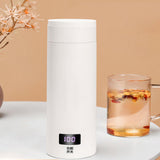 Maxbell Electric Kettle Auto Shut Off Adjustable Stainless Steel for Tea milk