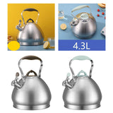 Maxbell 4.3L Tea Pot with Handle Whistle Tea Pot Stainless Steel for Cookers Green