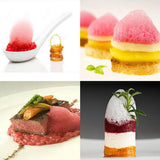 Maxbell Gourmet Foam Machine Chef Cooking Tool for Cocktail Meat