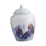 Maxbell Flower Vase Ginger Jar Ceramic Flower Plants Holder Home Weddings Desk