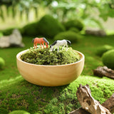 Maxbell Wooden Cake Stand Serving Tray Durable Nordic for Party Decoration Fruit