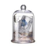 Maxbell 400ml Glass Cup Drinking Mug Clear with Dome for Home Decoration