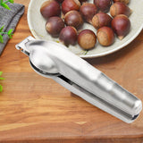 Maxbell Chestnut Opener with Ergonomic Handle Stainless Steel for Kitchen Hazelnut