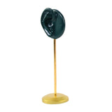 Maxbell Durable Earring Display Stand Resin Ear Model Stud Holder Showcase Stable Left