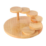 Maxbell Sushi Serving Tray Succulent Holder Cup Cake Plate for Christmas Party Round