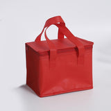 Maxbell Insulated Lunch Case Food Container Thermal Cooling Bag for Beach Camping 8in 29cmx29cmx22cm