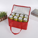 Maxbell Insulated Lunch Case Food Container Thermal Cooling Bag for Beach Camping 8in 29cmx29cmx22cm