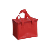 Maxbell Insulated Lunch Case Food Container Thermal Cooling Bag for Beach Camping 8in 29cmx29cmx22cm