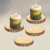 Maxbell 4Pcs Natural Wood Slices Round Polished for Crafts Holiday Table Centerpiece 13cmx13cmx2cm
