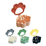 Maxbell Spice Storage Box 5 Compartments Closed Storage for Home Kitchen for Home grey