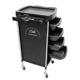 Maxbell 6 Tier Salon Cart Storage Storage Salon Rolling Organizers Style B