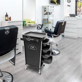 Maxbell 6 Tier Salon Cart Storage Storage Salon Rolling Organizers Style B