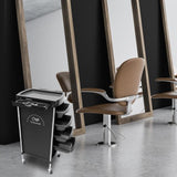 Maxbell 6 Tier Salon Cart Storage Storage Salon Rolling Organizers Style B