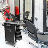 Maxbell 6 Tier Salon Cart Storage Storage Salon Rolling Organizers Style B