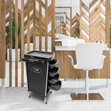 Maxbell 6 Tier Salon Cart Storage Storage Salon Rolling Organizers Style B