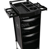 Maxbell 6 Tier Salon Cart Storage Storage Salon Rolling Organizers Style C