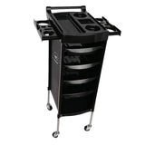 Maxbell 6 Tier Salon Cart Storage Storage Salon Rolling Organizers Style C