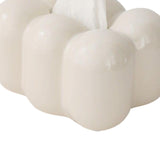 Maxbell Toilet Paper Holder Box Practical Cute for NightStand Tabletop Living Room White