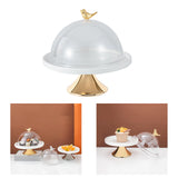 Maxbell Dessert Cupcake Display Tray with Dome Serving Platter for Events Birthday Aureate L