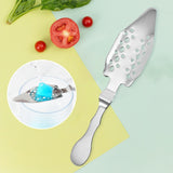 Maxbell Stainless Steel Wormwood Spoon Hollowed Spoon Sugar Spoons for Bar Home