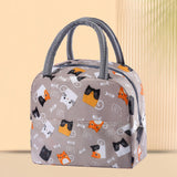 Maxbell bag Liner Lunch Bags Soft Liner for Beach Outdoor Teen style A