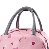 Maxbell bag Liner Lunch Bags Soft Liner for Beach Outdoor Teen style C