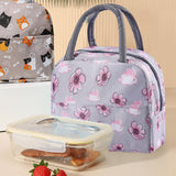 Maxbell bag Liner Lunch Bags Soft Liner for Beach Outdoor Teen style D