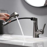 Maxbell Bathroom Sink Faucet with Pull Out Sprayer Kitchen Sink Faucet Gray