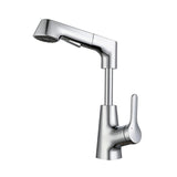 Maxbell Bathroom Sink Faucet with Pull Out Sprayer Kitchen Sink Faucet Argent