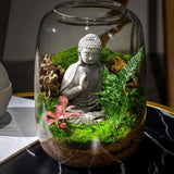 Maxbell Vase Glass Glass Empty Bottle for Home Office Ornament