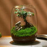 Maxbell Vase Glass Glass Empty Bottle for Home Office Ornament