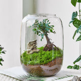 Maxbell Vase Glass Glass Empty Bottle for Home Office Ornament