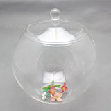 Maxbell Glass Terrarium Decorative DIY 6.30'' Planter Jar for Chocolate Sugar Coffee