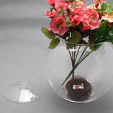 Maxbell Glass Terrarium Decorative DIY 6.30'' Planter Jar for Chocolate Sugar Coffee